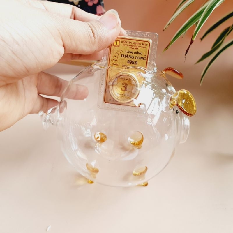 vn-11134207-7r98o-lv19m1cmw7fe06.jpg